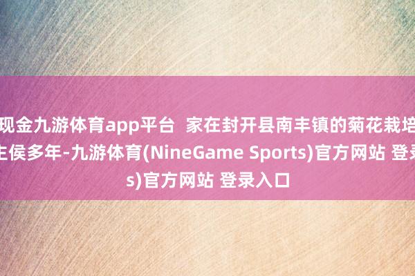 现金九游体育app平台  家在封开县南丰镇的菊花栽培园雇主侯多年-九游体育(NineGame Sports)官方网站 登录入口