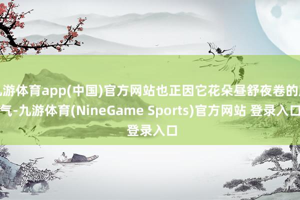 九游体育app(中国)官方网站也正因它花朵昼舒夜卷的脾气-九游体育(NineGame Sports)官方网站 登录入口